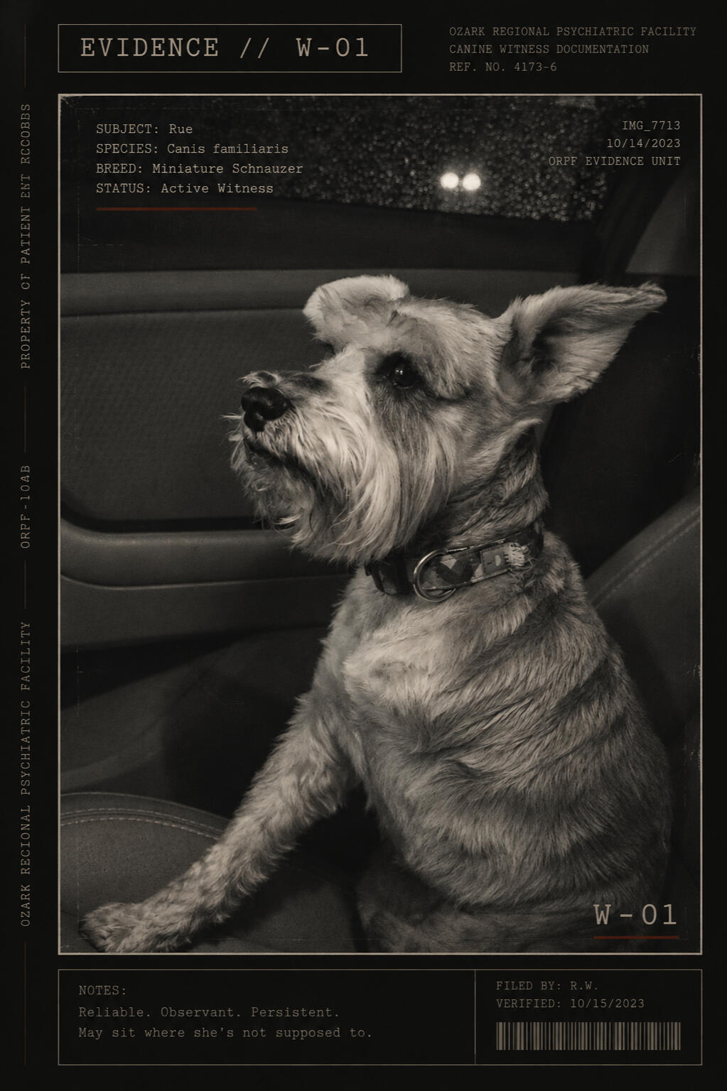 Rue — photographic evidence W-01